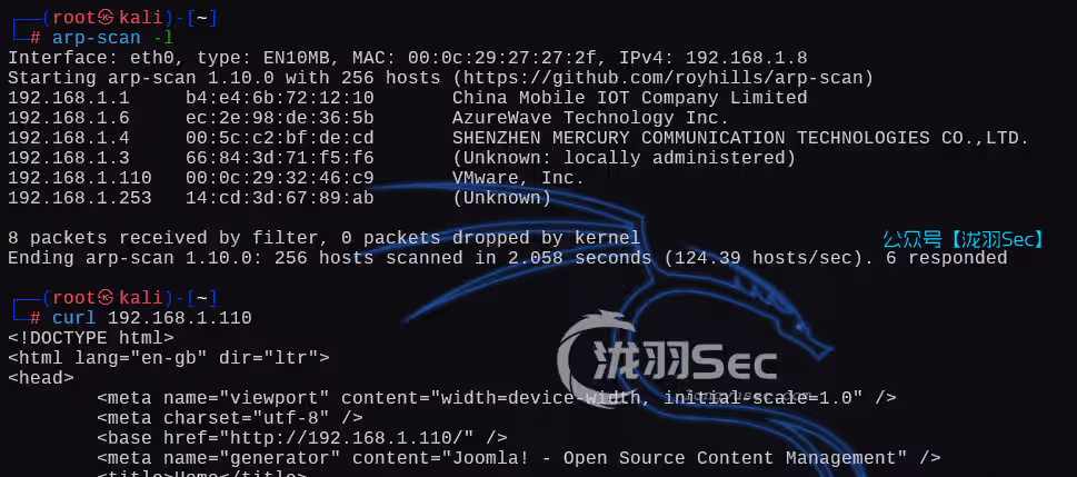 image-20250221063211703