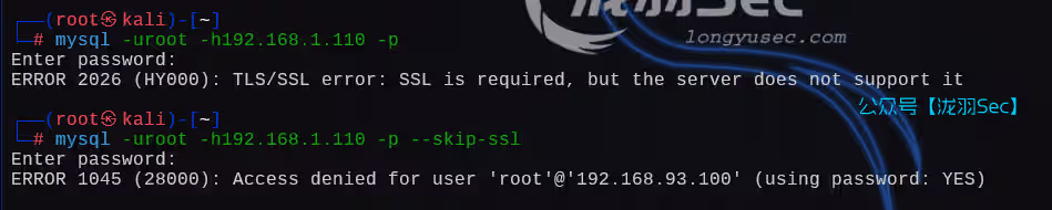 image-20250221063434936