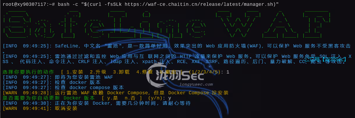 image-20250222175650817