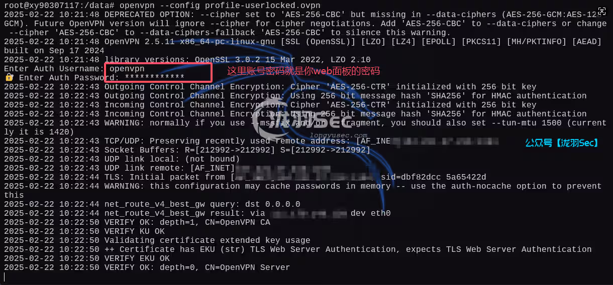 image-20250222194203699