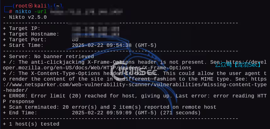 image-20250222231222846