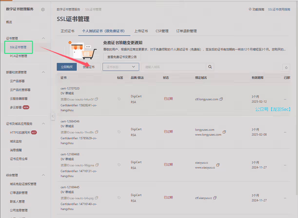 image-20250223005543879