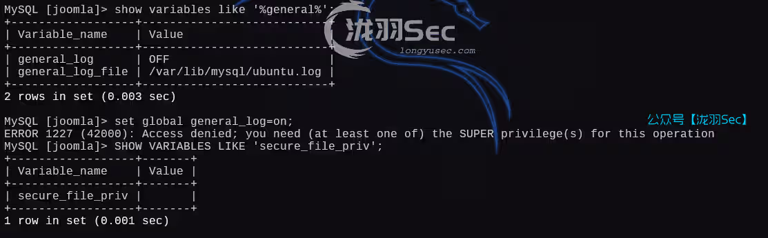 image-20250225192408965