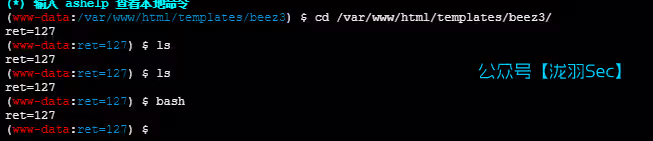 image-20250227032305762