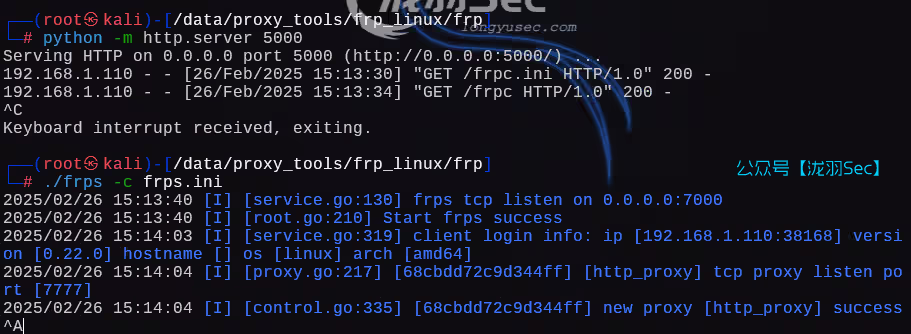 image-20250227041425665