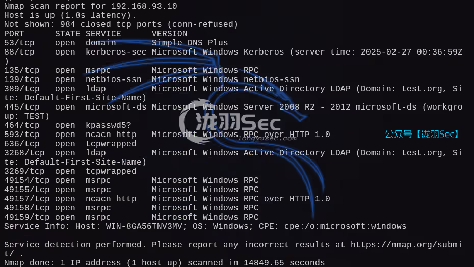 image-20250227130700243