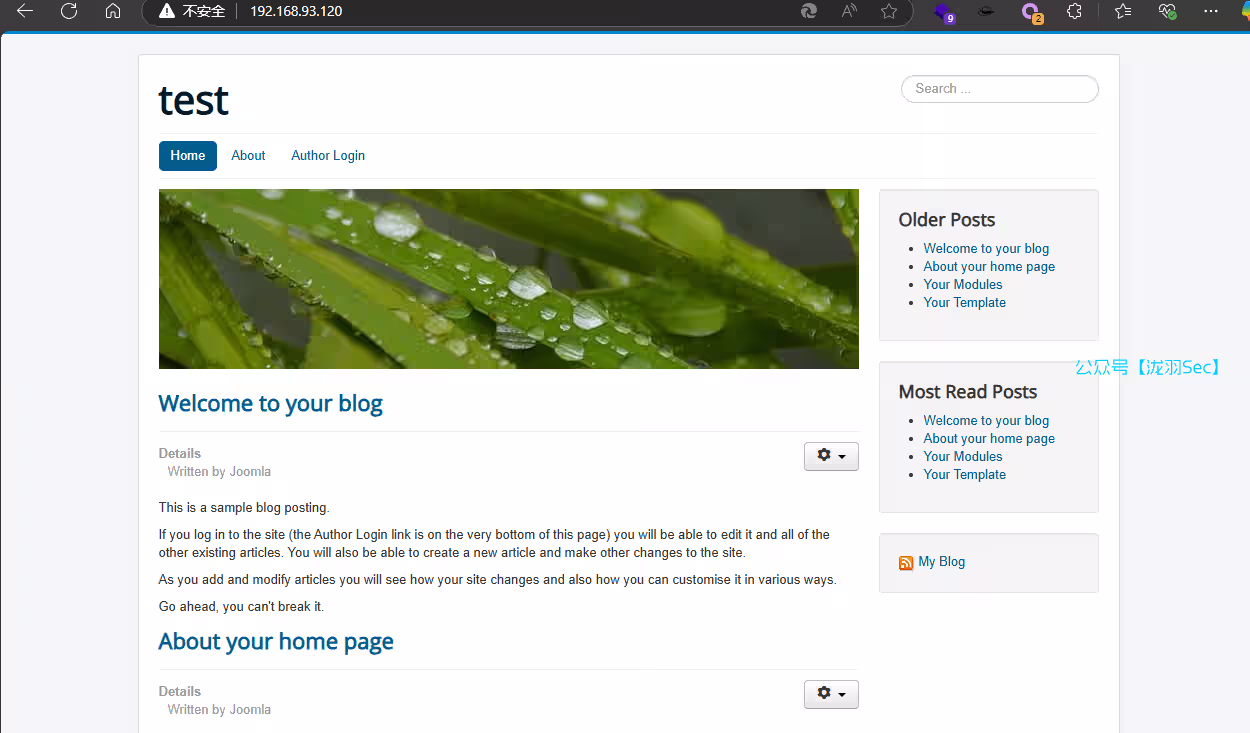 image-20250227132024440