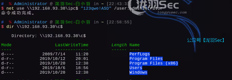 image-20250301225909915