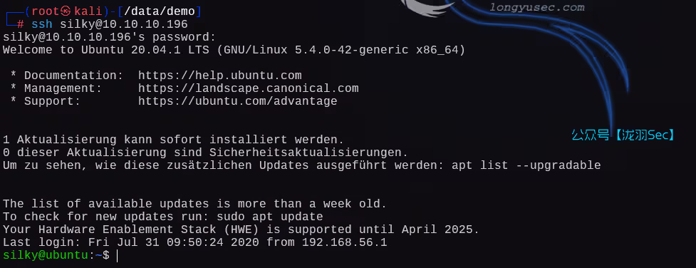 image-20250204183937250