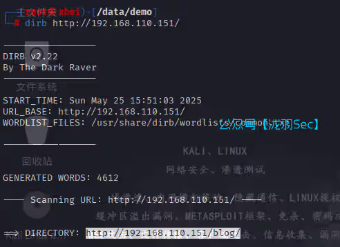 image-20250525155205328