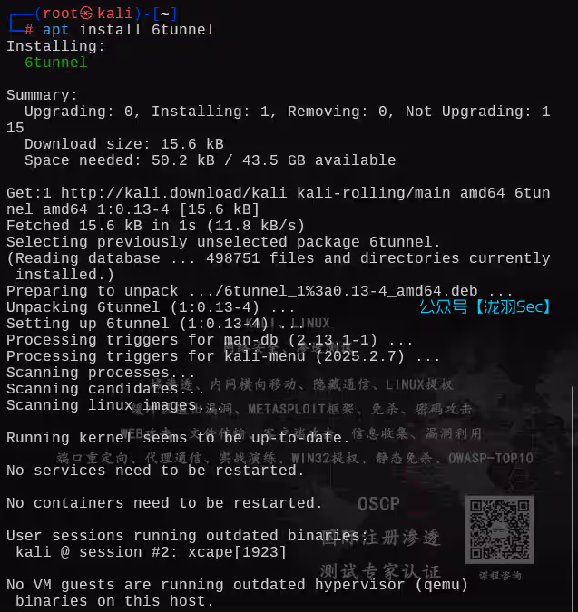 image-20250609151332893