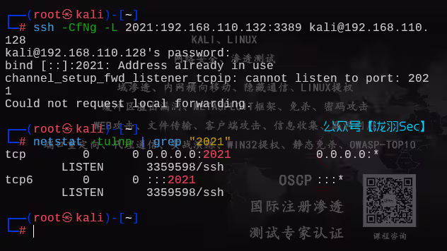 image-20250611174145405