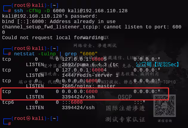 image-20250611184345445