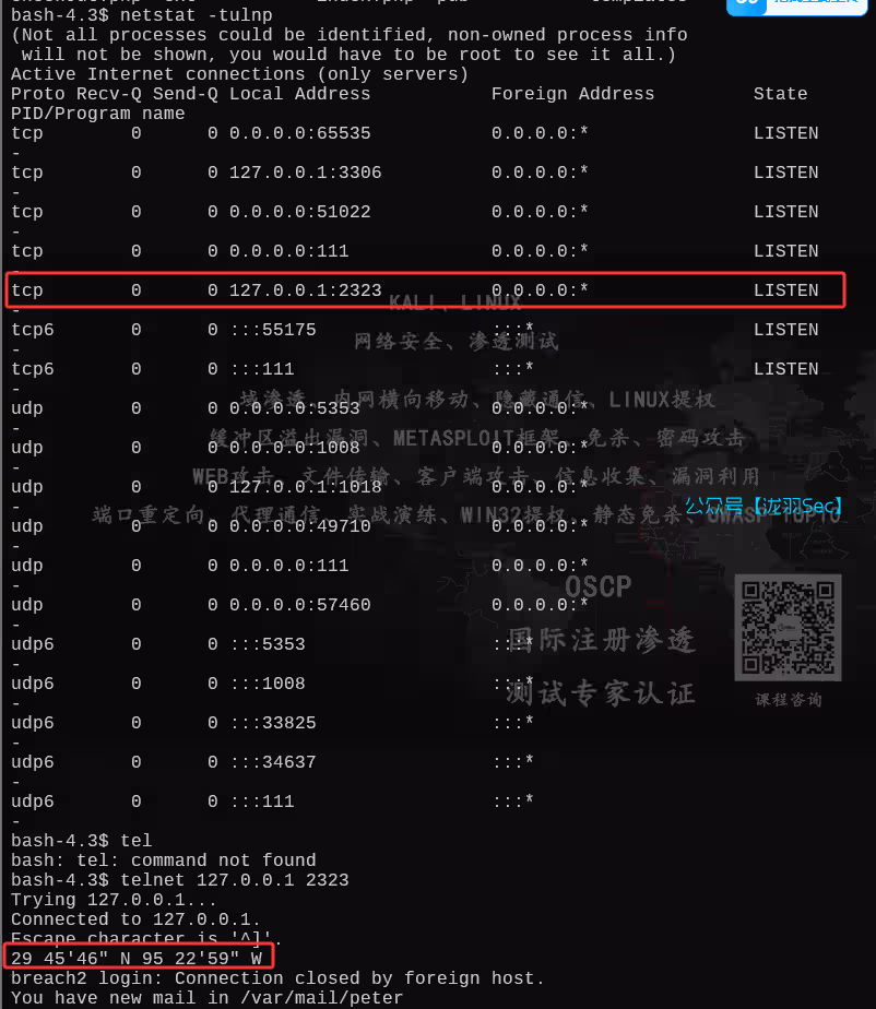 image-20250612181804674