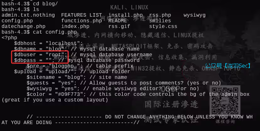 image-20250612182709330