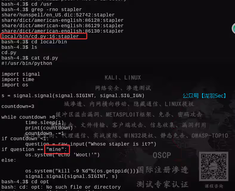 image-20250612194940997