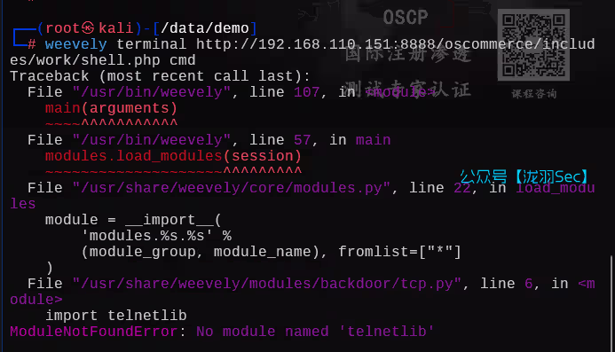 image-20250613202612965