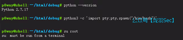 image-20250617190835117