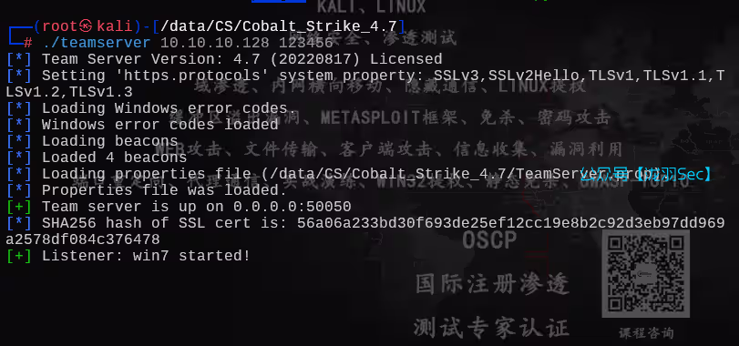 image-20250624203613374