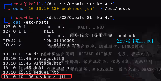 image-20250703133345324