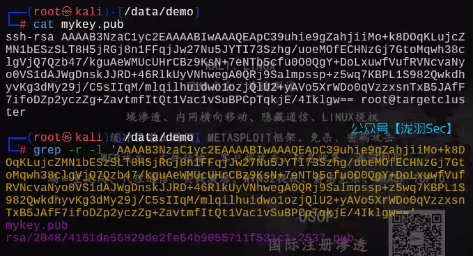 image-20250704152035365