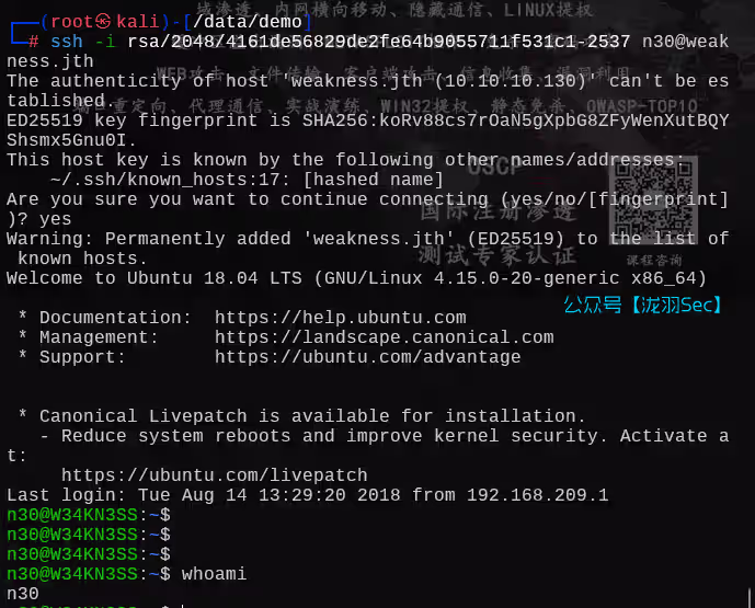 image-20250704152732873