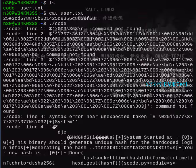 image-20250704161458740