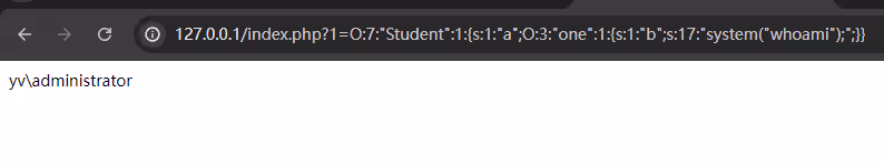 image-20240729094904495