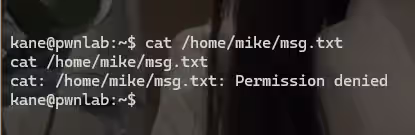 image-20240807145214205