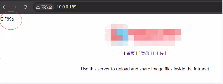 image-20240807170320504