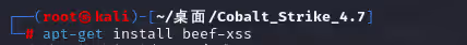 Kali下安装与使用BeEF-xss-泷羽Sec