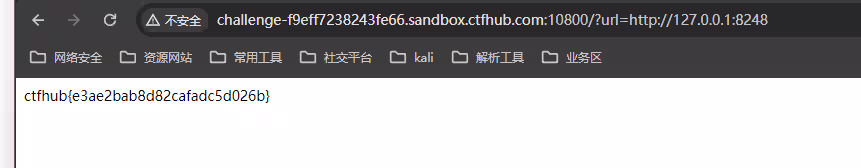 image-20240616132310478