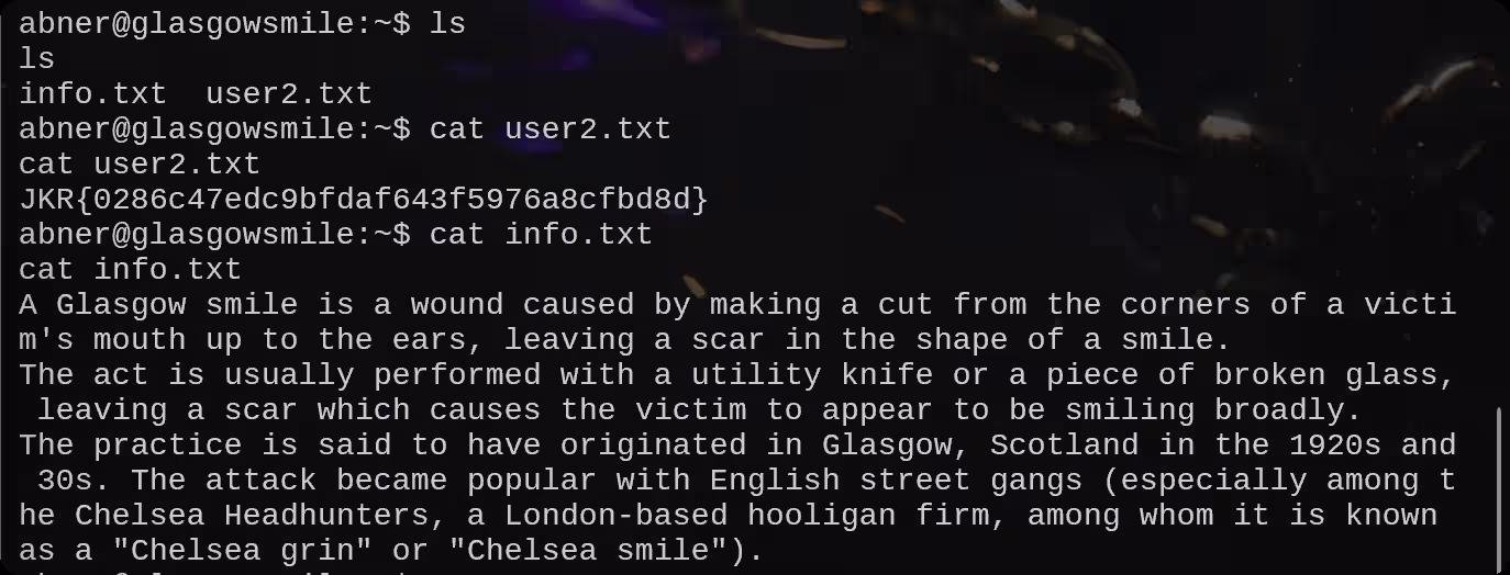 image-20250717232918887