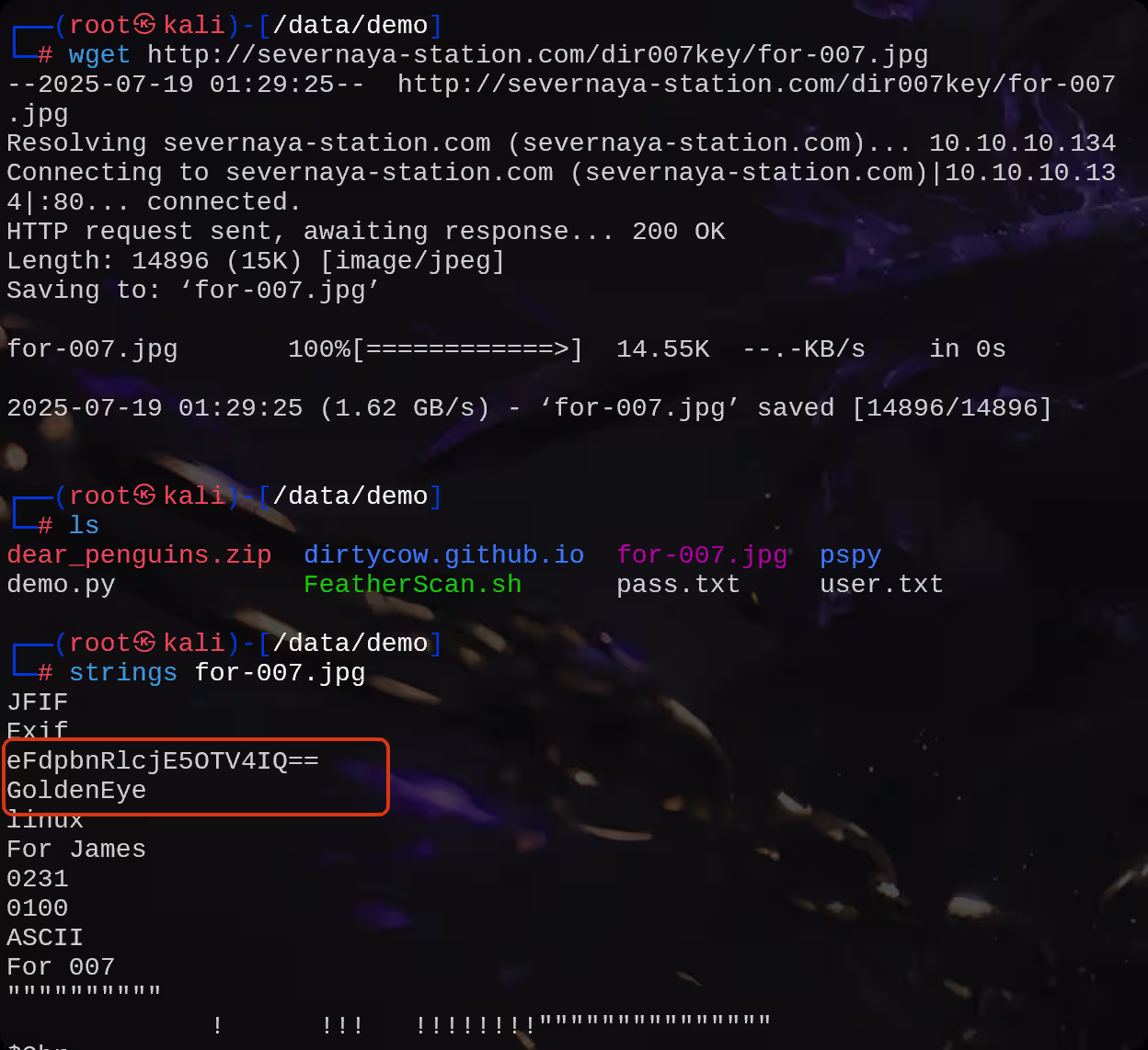 image-20250719133046420