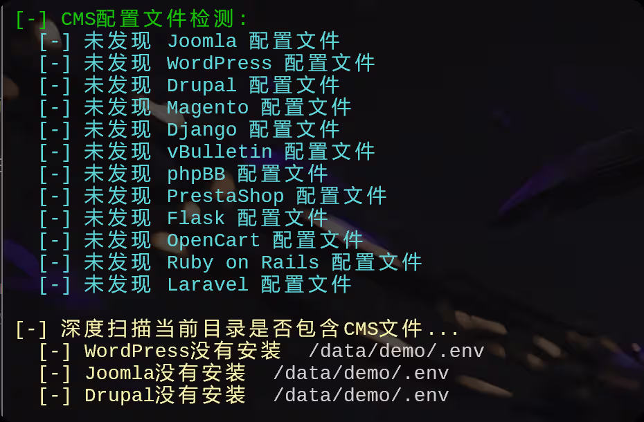 image-20250727021721589